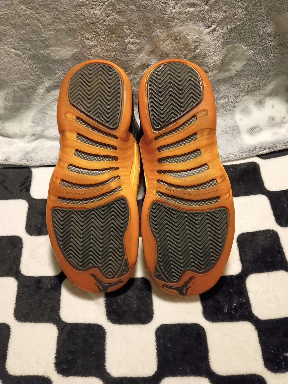 Air Jordan 12 Retro 